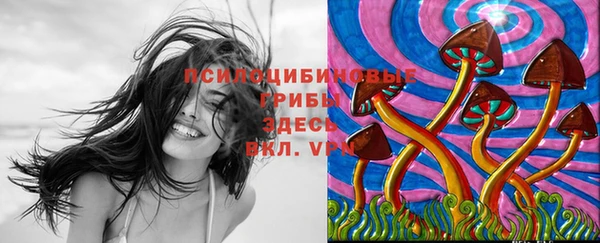 стафф Верея