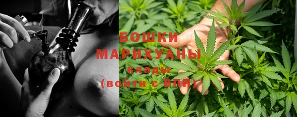 стафф Верея