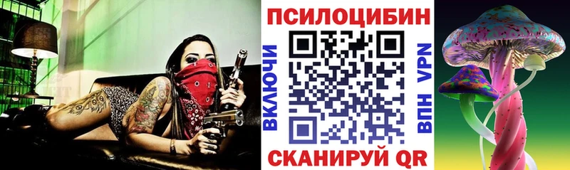 купить закладку  Дальнегорск  Псилоцибиновые грибы мицелий 